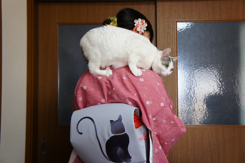 プロフィール