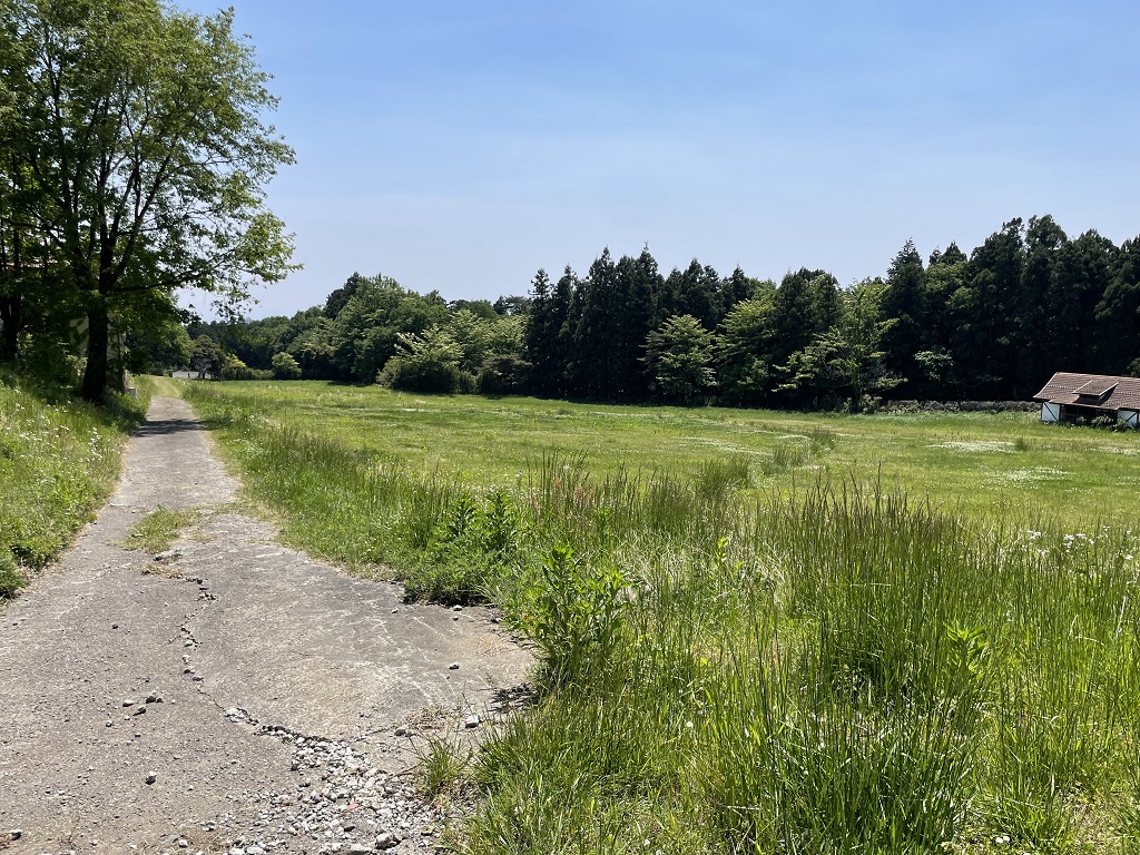 君の好きは無敵ロケ地・林牧場